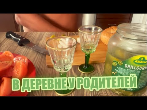 Видео: КЛАССИЧЕСКИЙ ДЕНЬ С БАТЕЙ