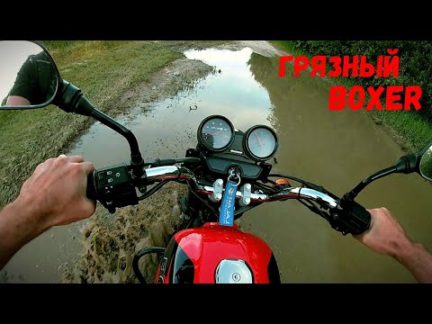 Видео: Bajaj Boxer 150 X / Покатушки по грязи / Мойка мотоцикла и уход за цепью