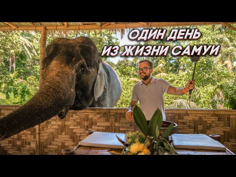Видео: Один день из жизни на острове Самуи