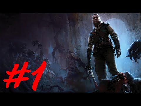 Видео: Прохождение The Witcher Максимальная Сложность - Часть 1 (Каэр Морхен)