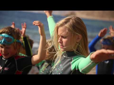 Видео: Фридайвинг