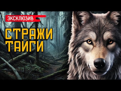 Видео: СТРАЖИ ТАЙГИ - Лесные и Деревенские Истории На Ночь