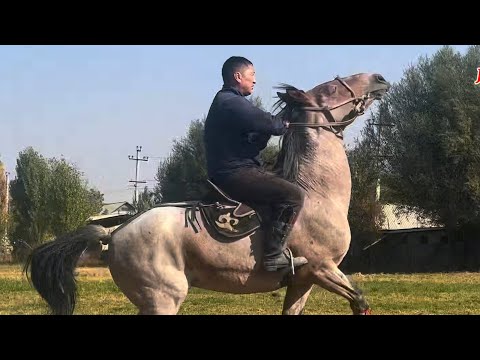 Видео: Оскон Акенин Аттары 18 октября 2025 г.