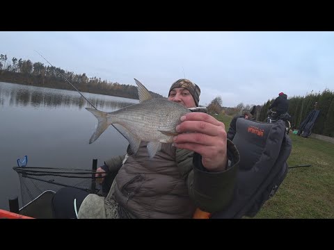 Видео: ЗАКРЫЛ ФИДЕРНЫЙ СЕЗОН 2024!| КРУТОЙ ПОДГОН ОТ РЫБОЛОВНОГО БРАТСТВА!