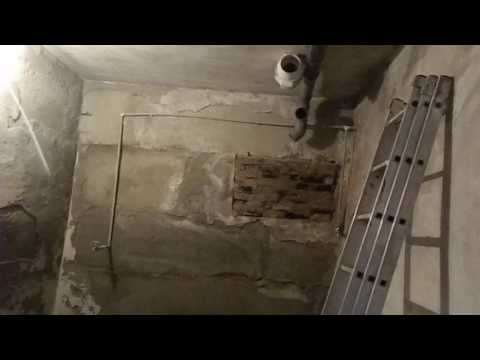 Видео: грибница с нуля..финишная прямая..
