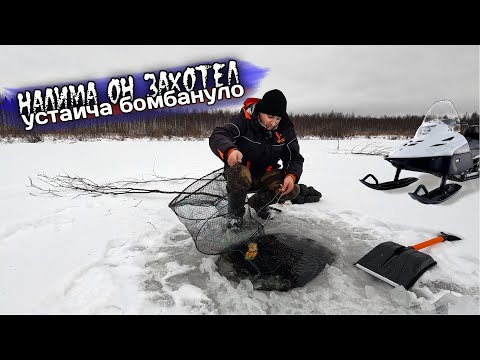 Видео: ХАААЧУУ НАЛИМААА!!! РЫБИЙ БОГ - ТЫ ЧЕГО?!! ВЫГНАЛ ЗИМНЕГО ЗВЕРЯ НАКОНЕЦ. ПОЛНЫЙ ЖЕСТЕЦ.....