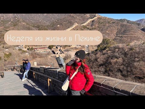 Видео: Учеба в Пекине🇨🇳 Peking University vlog | Великая стена и Запретный город