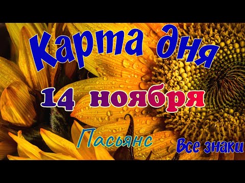 Видео: Карта дня 🍁 14 ноября 2025🌾🌞Пасьянс.Тайм-код в описании🦢