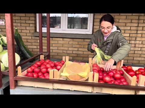 Видео: Осенний рынок в Бачка Топола. Заброшенный дворец Фантаст #жизньвсербии #иммиграция  #смешныекотики