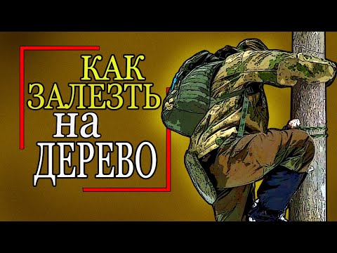 Видео: ❓Как ЗАЛЕЗТЬ на дерево.👆 Делаем ступеньки.