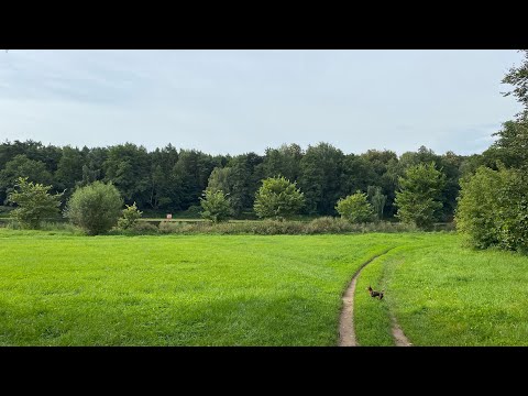 Видео: Расхламление маминой кухни/Федорино горе/Мотивация на уборку/Где я жила