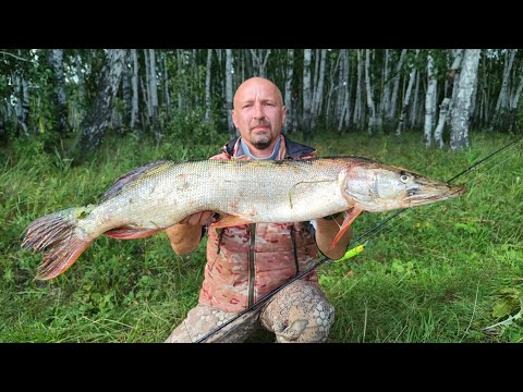 Видео: Щука на каждом забросе. Щука на резину или Рыбалка 2025. Рыбалка на щуку осенью. Рыбалка с лодки.