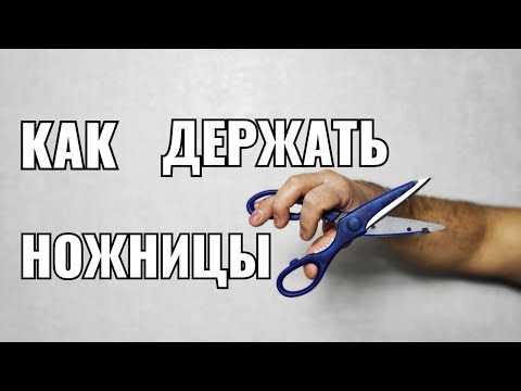 Видео: Как держать ножницы