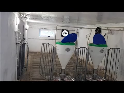 Видео: 100 відсотків щілинна підлога!!!