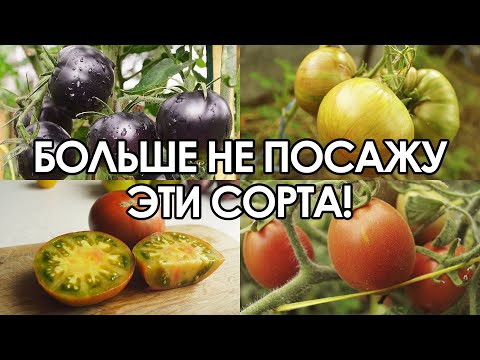 Видео: ЭТИ ТОМАТЫ БОЛЬШЕ ТОЧНО НИКОГДА НЕ ПОСАЖУ!