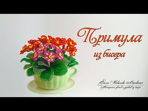 Видео: МК / ПРИМУЛА/ Мастер-класс Ольги Ковалевой-Лисовской  / Цветы из бисера/ Бисероплетение