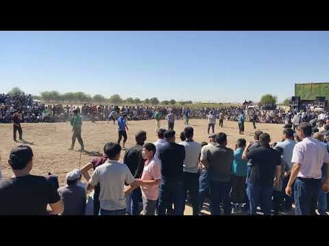 Видео: halach kurash кураш