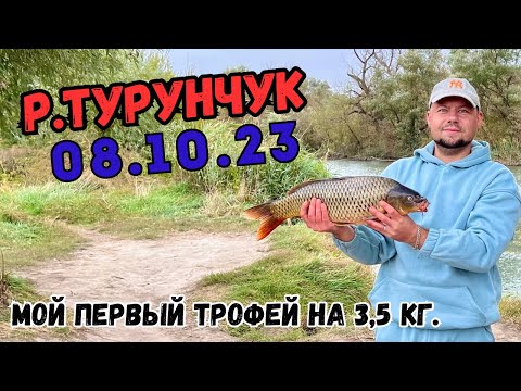 Видео: Рыбалка Днестр/Турунчук. Поймал Трофейного Карпа  на горячий горох с куркумой.