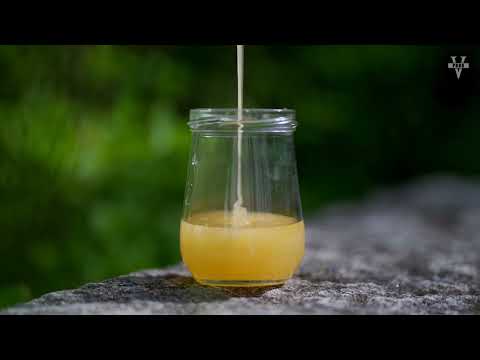 Видео: КАВКАЗСКАЯ ПЧЕЛА! Все о грузинской пчеле или кавказянка! Какую пчелу лучше выбрать новичку?