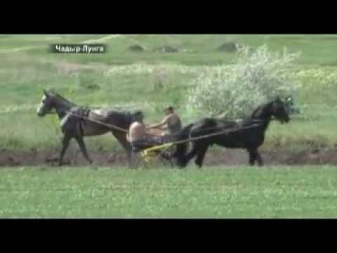 Видео: Хедерлез-2012 в Чадыр-Лунге