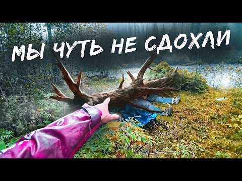 Видео: ПОЕХАВШИЙ ГИД ХАЙПИТ РАДИ ПРОСМОТРОВ. ЗАГНАЛ ЛЮДЕЙ В СМЕРТЕЛНЫЕ УСЛОВИЯ. ВЫЖИТЬ В ЛЕСУ