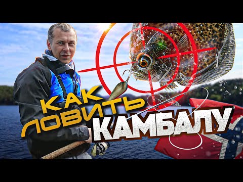 Видео: Узнайте, как ловить КАМБАЛУ в Норвегии легко и просто👍😀Рыбалка в Норвегии с берега.