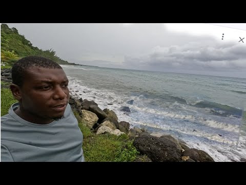 Видео: «Помогите пожилым людям добраться до больницы — ураган «Мелисса» приближается к Ямайке 🇯🇲 #StormM...