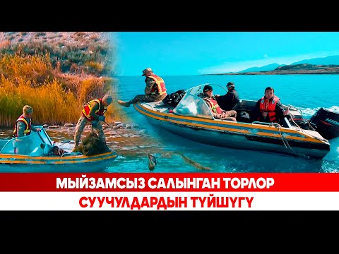 Видео: Мыйзамсыз салынган торлор – суучулдардын түйшүгү