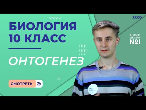 Видео: Урок 21. Онтогенез. Типы и периоды. Биология 10 класс