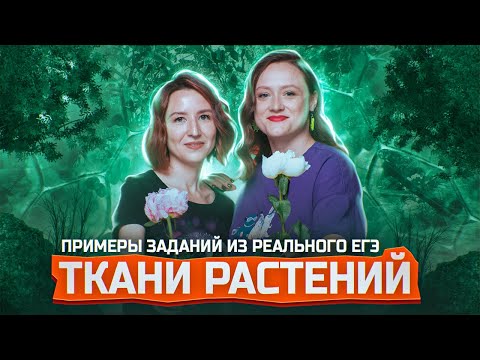 Видео: ТКАНИ РАСТЕНИЙ | Разбор заданий о растительных тканях из ЕГЭ-2025 по биологии