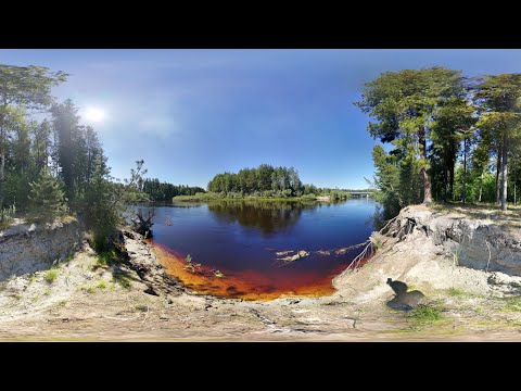 Видео: город Когалым и лес