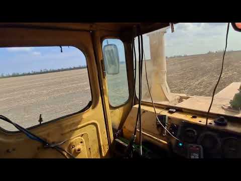 Видео: 4 сентября 2025 г.