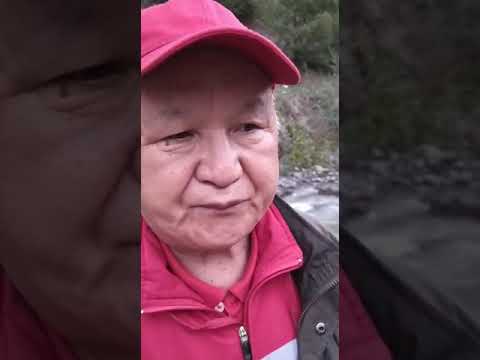 Видео: Шанкол айылы