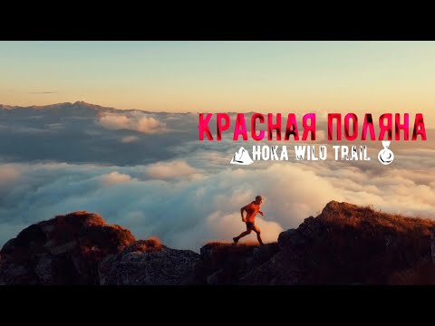 Видео: Дмитрий Митяев о Hoka Wild Trail l  Горы Красной Поляны.