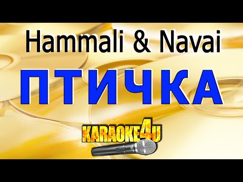 Видео: Птичка | Hammali & Navai | Караоке (Кавер минус от Studio-Man)