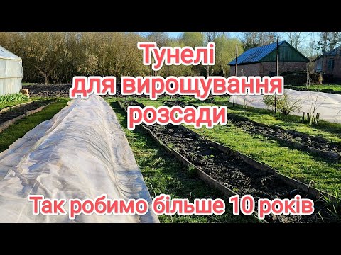 Видео: Тунелі для вирощування розсади.