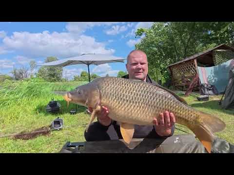 Видео: Рыбалка на Карпа в Сенном ! Мощные Карпы ! Удачная РЫБАЛКА !  СУПЕР РЫБАЛКА ! Новый рекорд водоема !