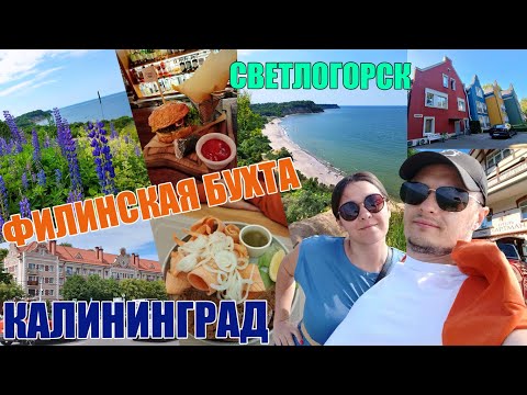 Видео: КАЛИНИНГРАД | ФИЛИНСКАЯ БУХТА | СВЕТЛОГОРСК | КРУАССАН-КАФЕ | LOCAL | ХМЕЛЬ | ЧЕСНОК | ЦЕНЫ 2024