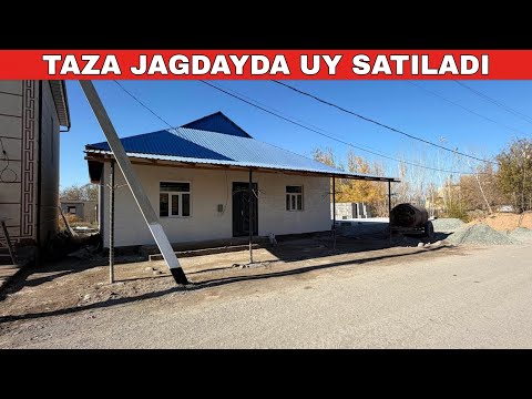 Видео: ТАЙЫН ОТЫРАБЕРЕТИН ЖАЙ САТЫЛАДЫ.