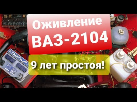 Видео: Оживление Жигулей после 9 лет простоя! ВАЗ-2104