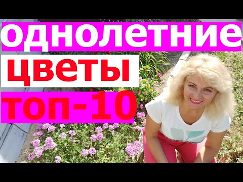 Видео: ТОП- 10 однолетних цветов для дачи