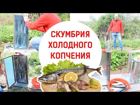 Видео: Дымогенератор Hanhi 2: скумбрия холодного копчения