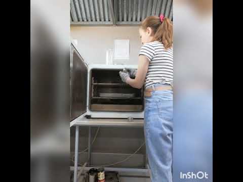 Видео: Определение естественной и гигроскопической влажности грунта