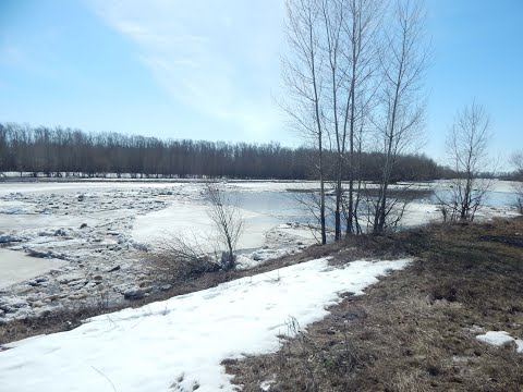 Видео: НЕбывалый ледоход в этом году #ледоход# .
