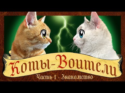 Видео: КОТЫ ВОИТЕЛИ 1 СЕРИЯ : СТАНЬ ДИКИМ! История кота РЫЖИКА! кот Малыш и Мурка WARRIOR CATS