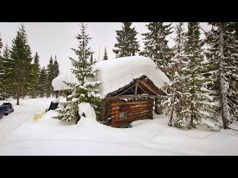 Видео: Рыбалка на хариуса в тайге. Килограммовый хариус и уха на костре! Живём в лесной избушке.