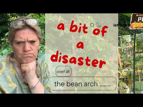 Видео: на самом деле не ожидал, что это произойдет