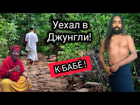 Видео: Сказал Мне - Нужно Ехать! Чай и 5 кг Сахара. Русские в Джунглях! Непал Сегодня. 
