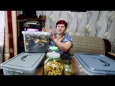 Видео: Все нюансы хранения сушеных овощей, грибов, трав... Будут стоять годами!!