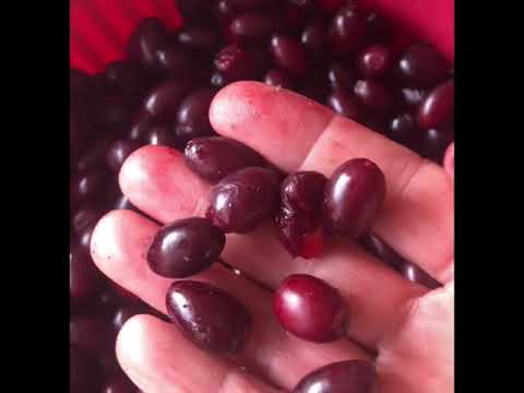 Видео: Ликёр 🍹 Кизиловый.